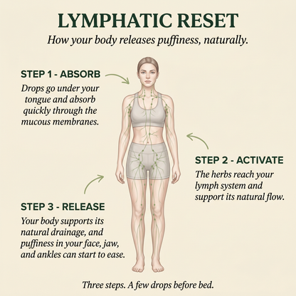 Maxivita Lymphatic Drainage Drops