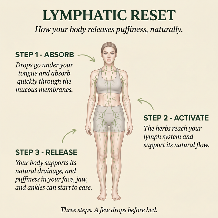 How Maxivita Lymphatic Drainage Drops work — absorb, activate, release