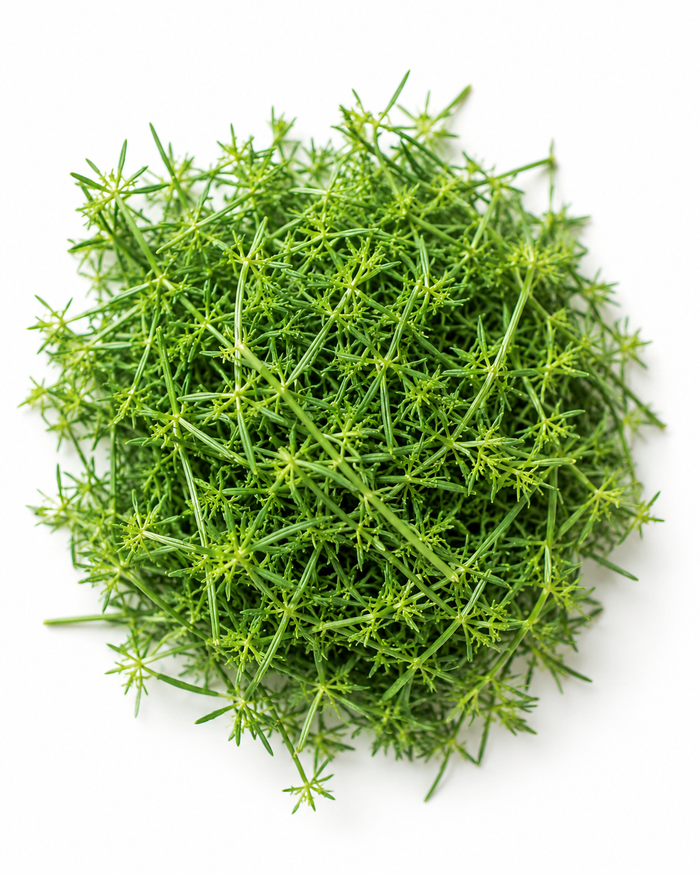 Cleavers